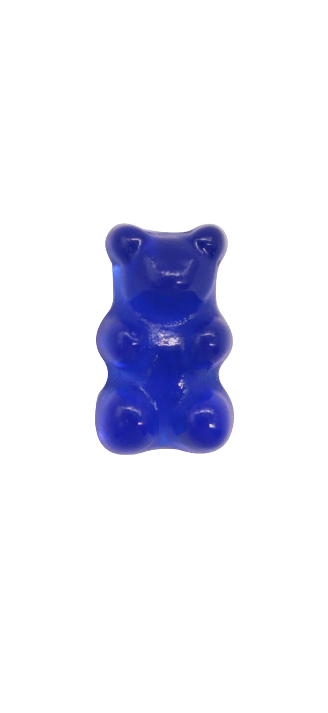 GUMMY BEARS - KROK CHARMZ